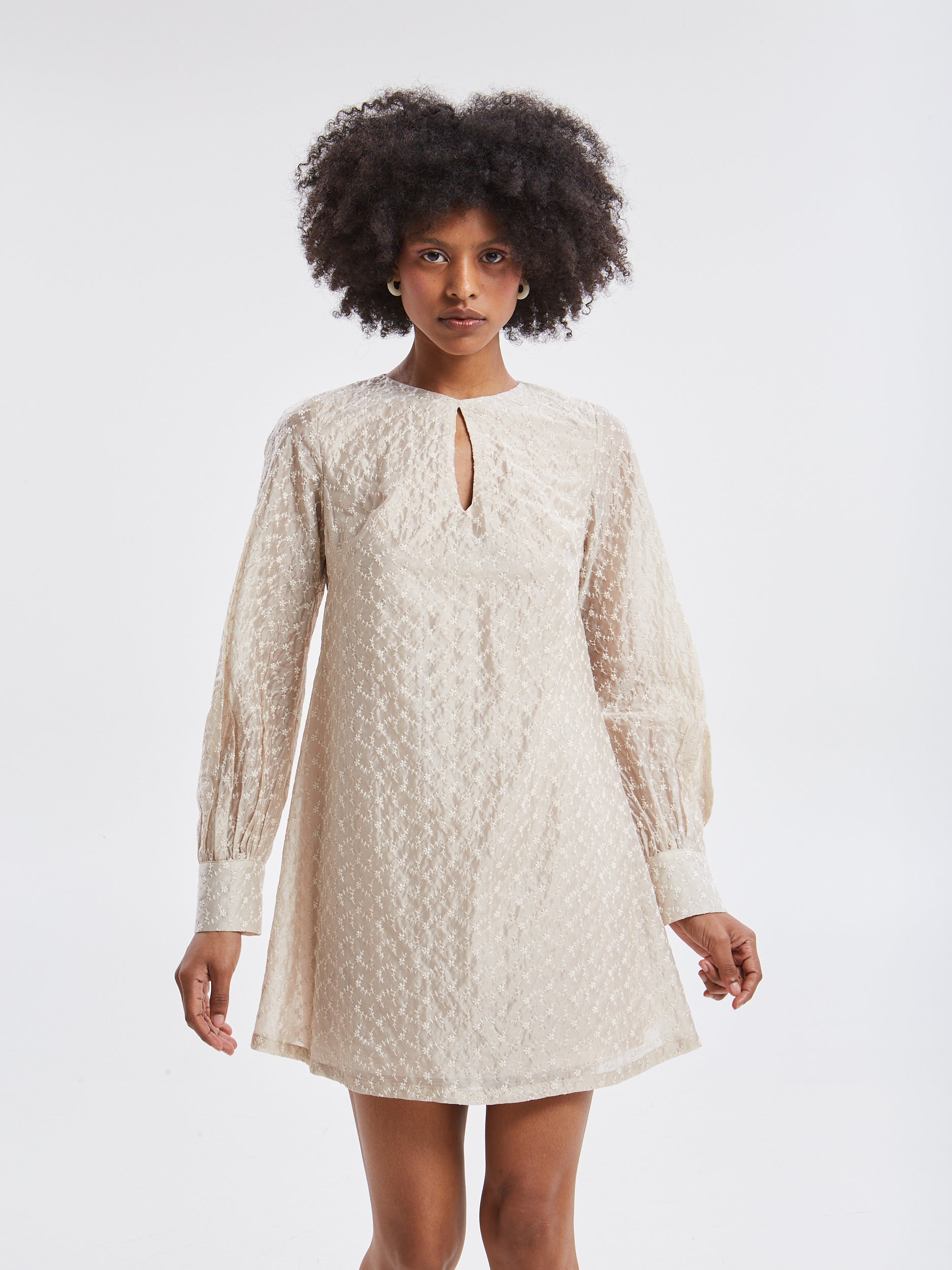 Kaira embroidered mini dress