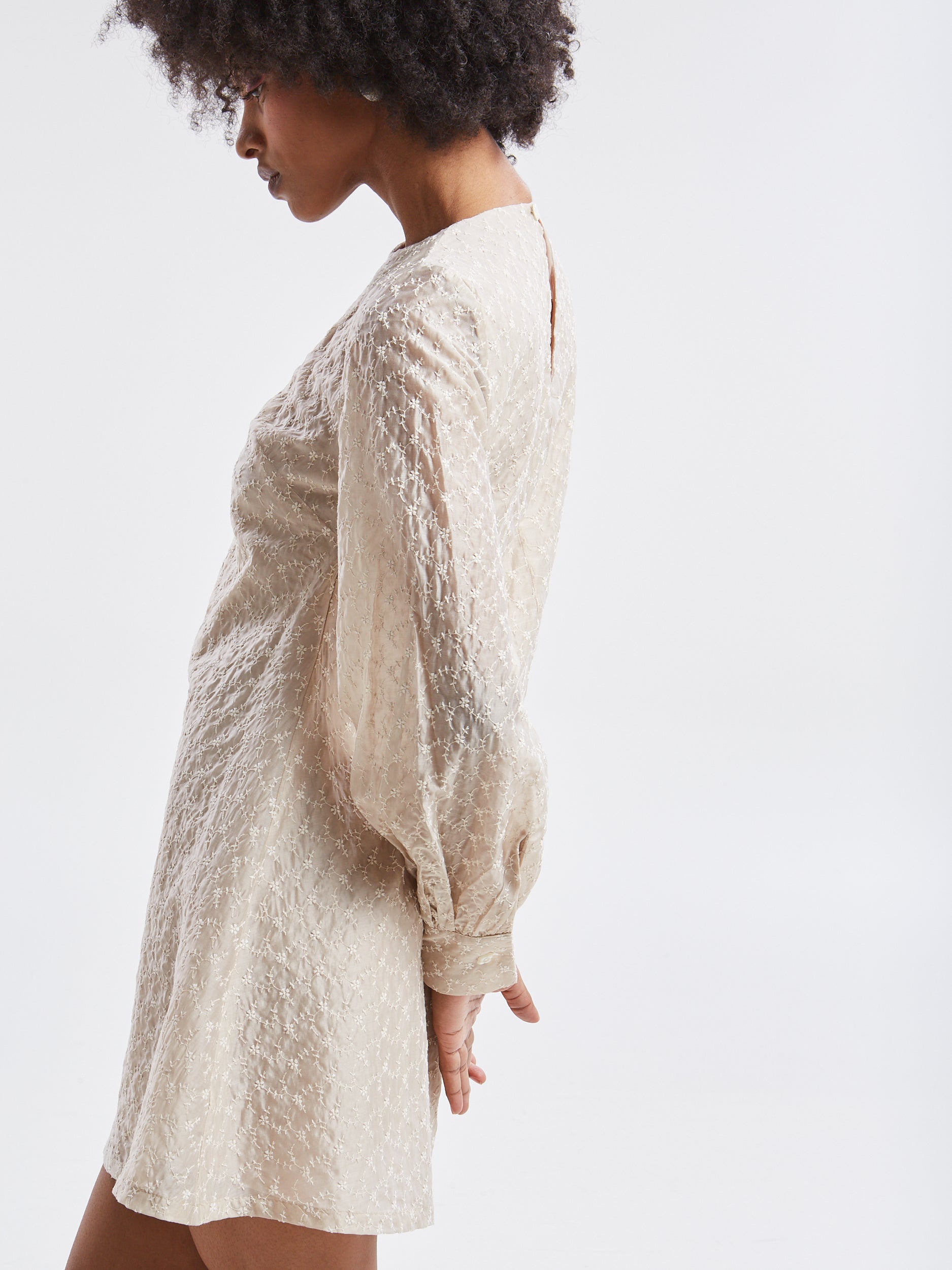 Kaira embroidered mini dress