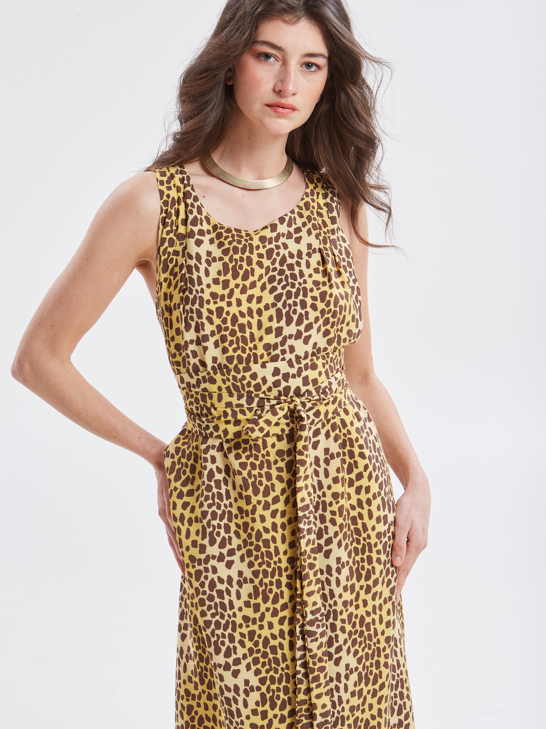Leslie rayon leopard dress