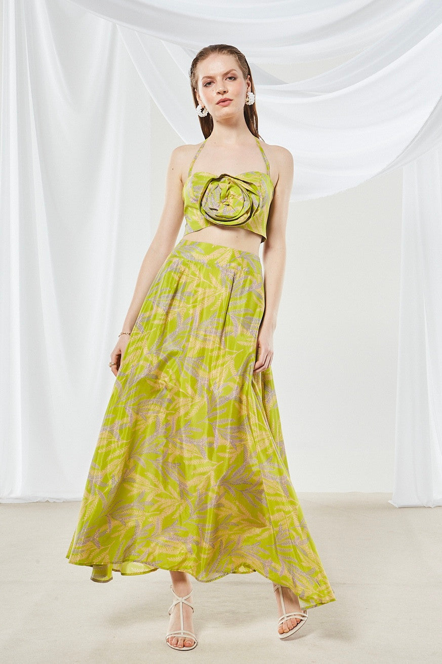 Jasmine flower top